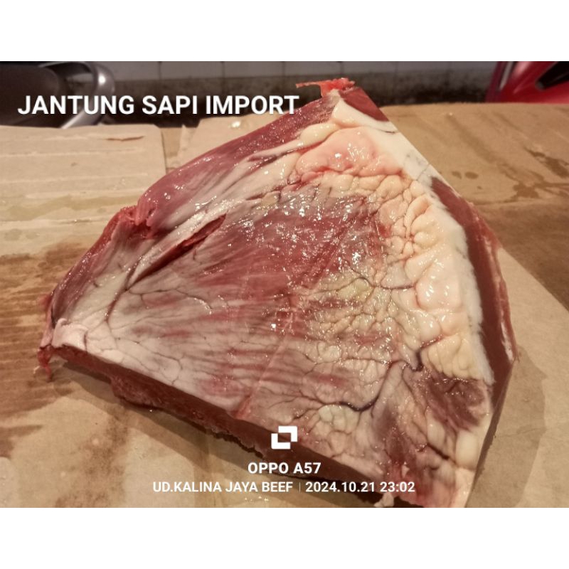 

jantung sapi