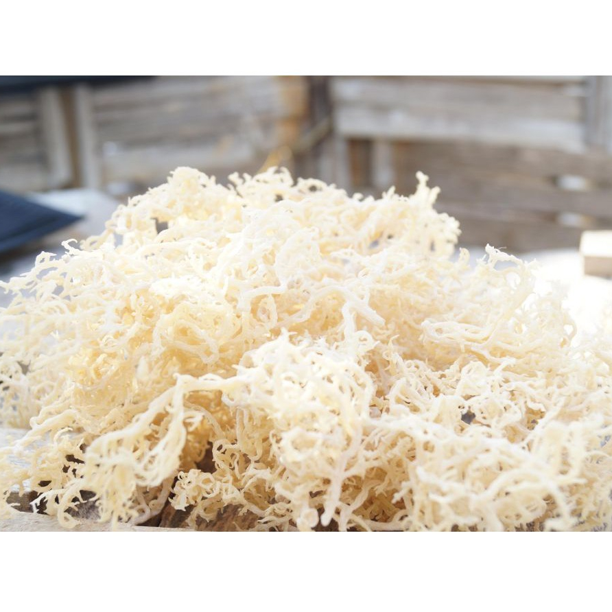 

rumput laut kering/rumput laut putih kering