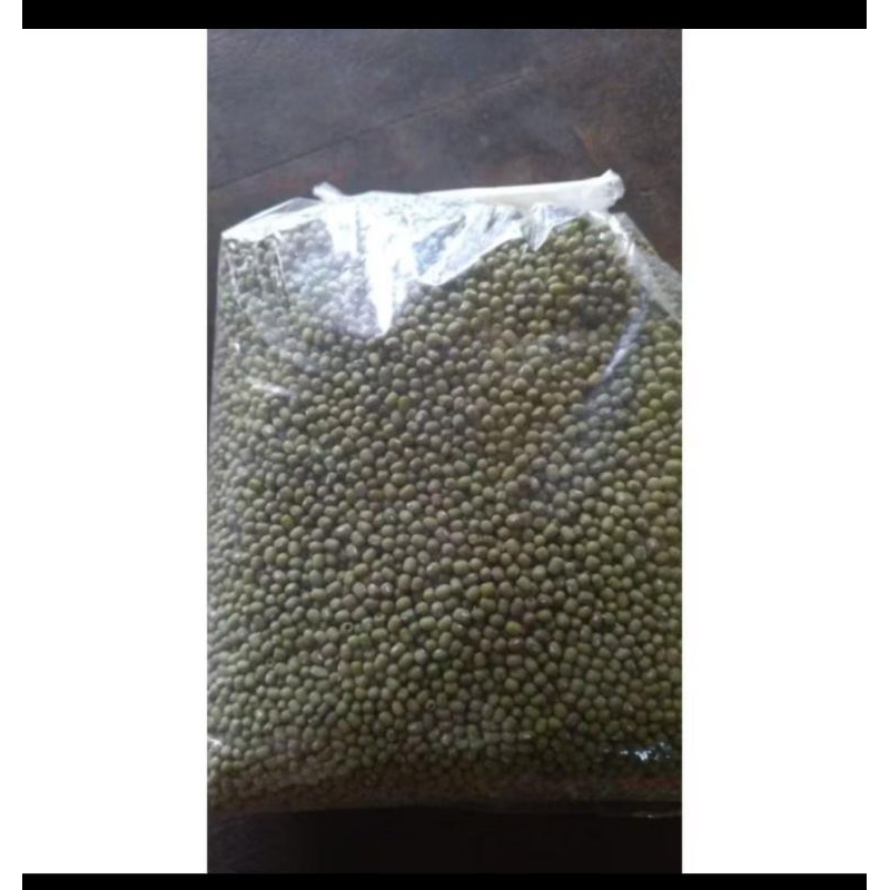 

Kacang hijau taoge 1 kg dan 500 gr