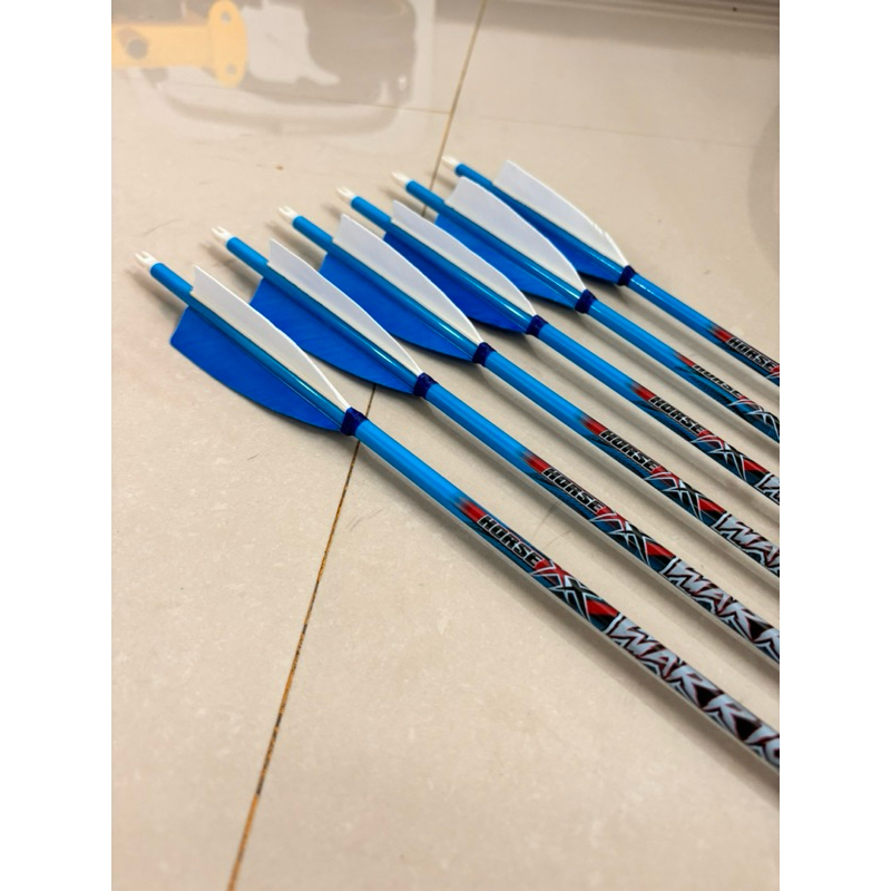 Arrow carbon warrior