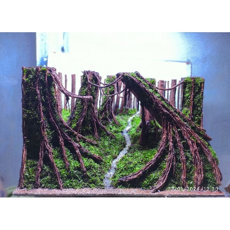 Hardscape jungle aquascape siap pakai buat tank 60.40.40.cm sudah diplanting mossjava