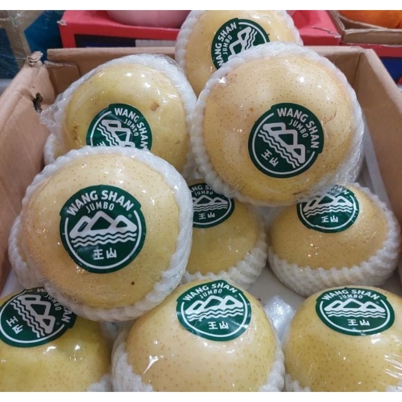 

Pear Golden Wangshan | Buah Pir Golden Wangshan Jumbo 1 Kg
