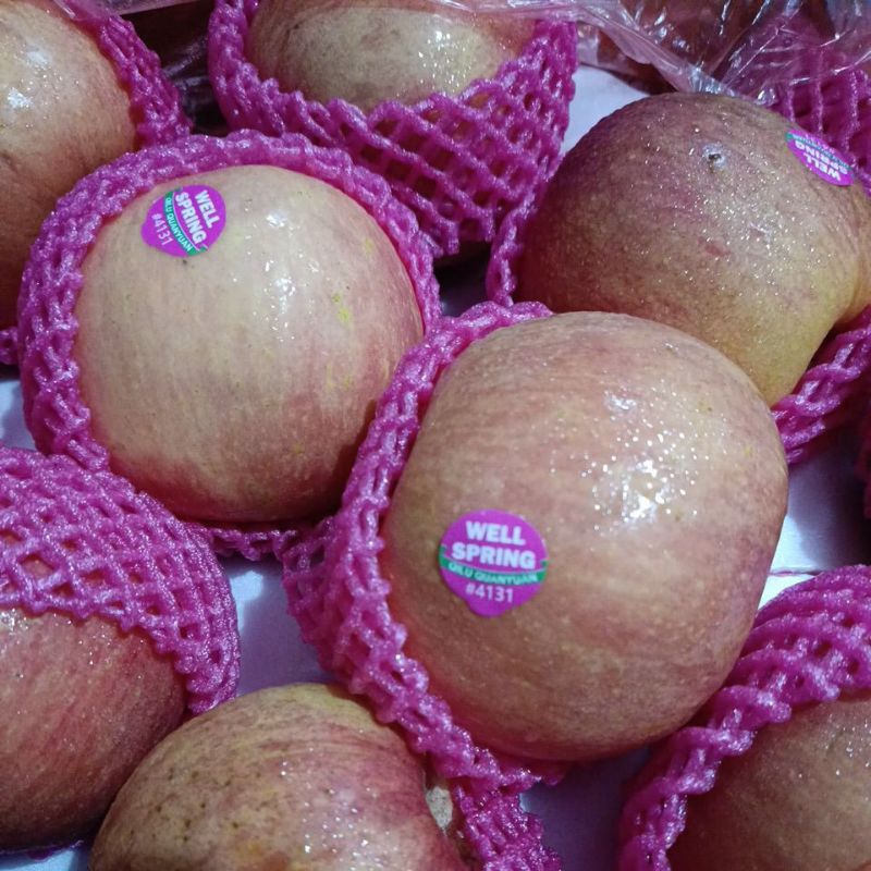 

Buah Apel Well Spring /fresh