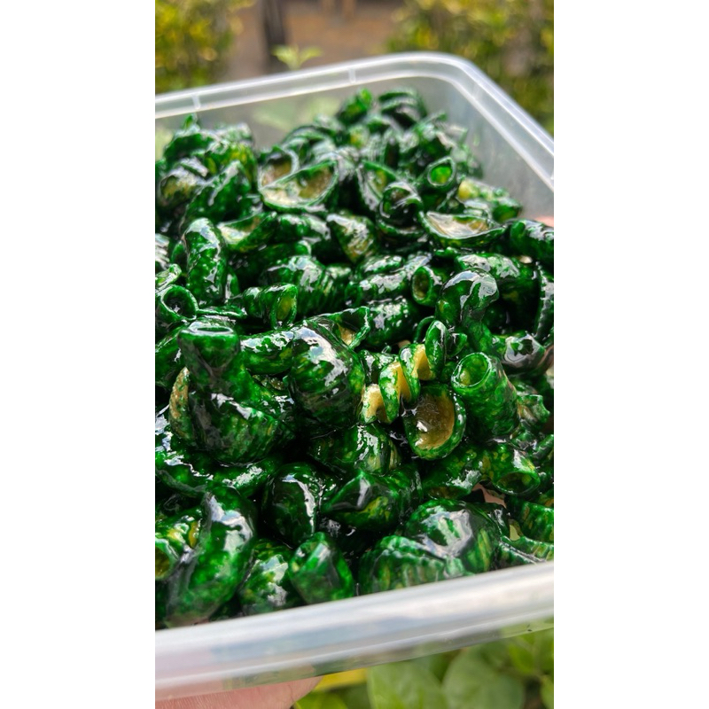 

KERANG BUMBU IJO