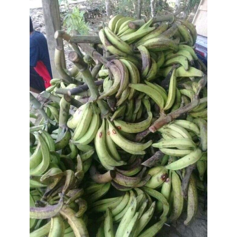 

PISANG TANDUK FRESH ORGANIK