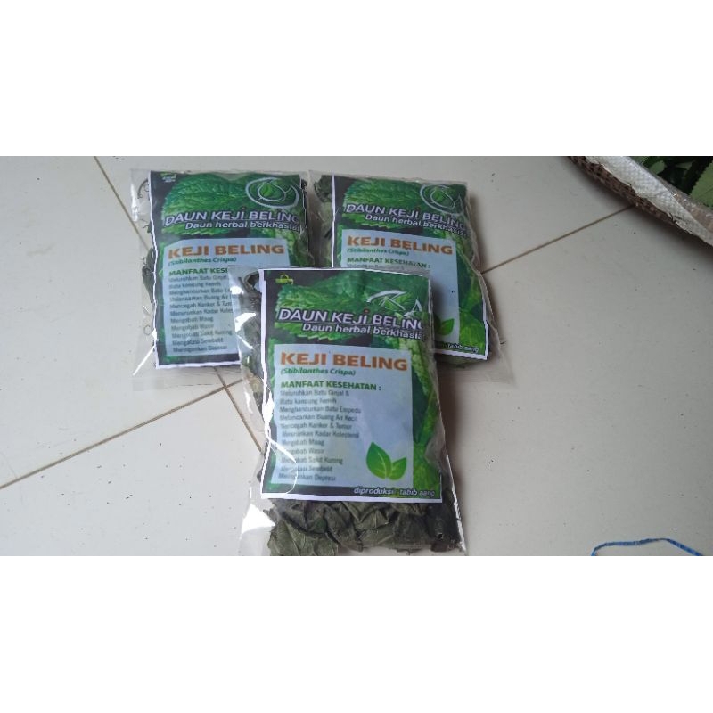 

DAUN KEJI BELING