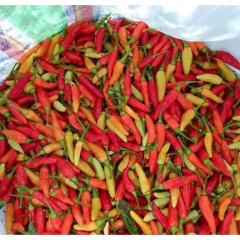 

SisumaFresh Cabe Rawit Merah Lokal 1 Kg