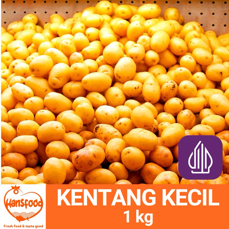 

KENTANG KECIL 500gr - 1 kg