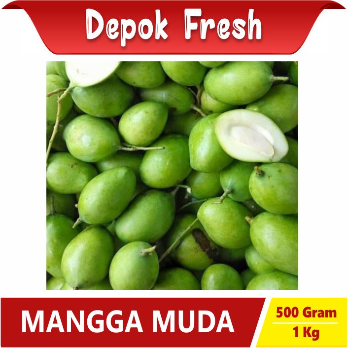 

MANGGA MUDA UNTUK RUJAK SEGAR