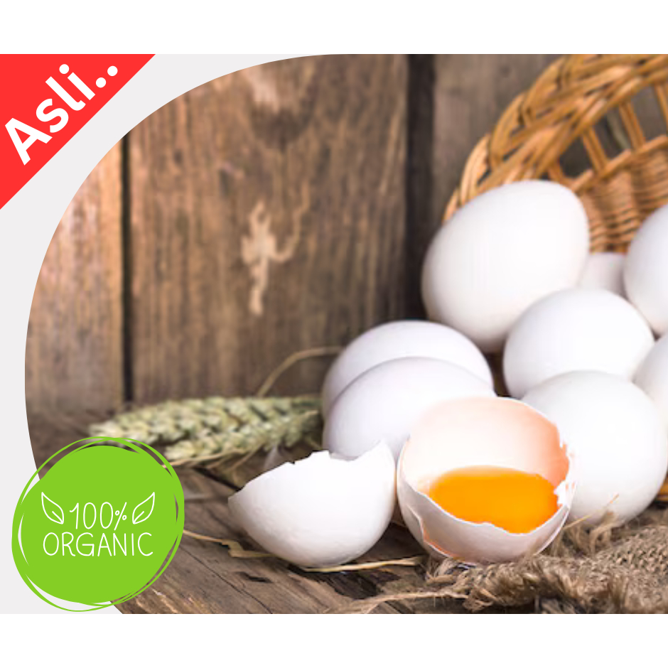 

Jogja Telur Ayam Kampung Grade A Premium Asli Fresh