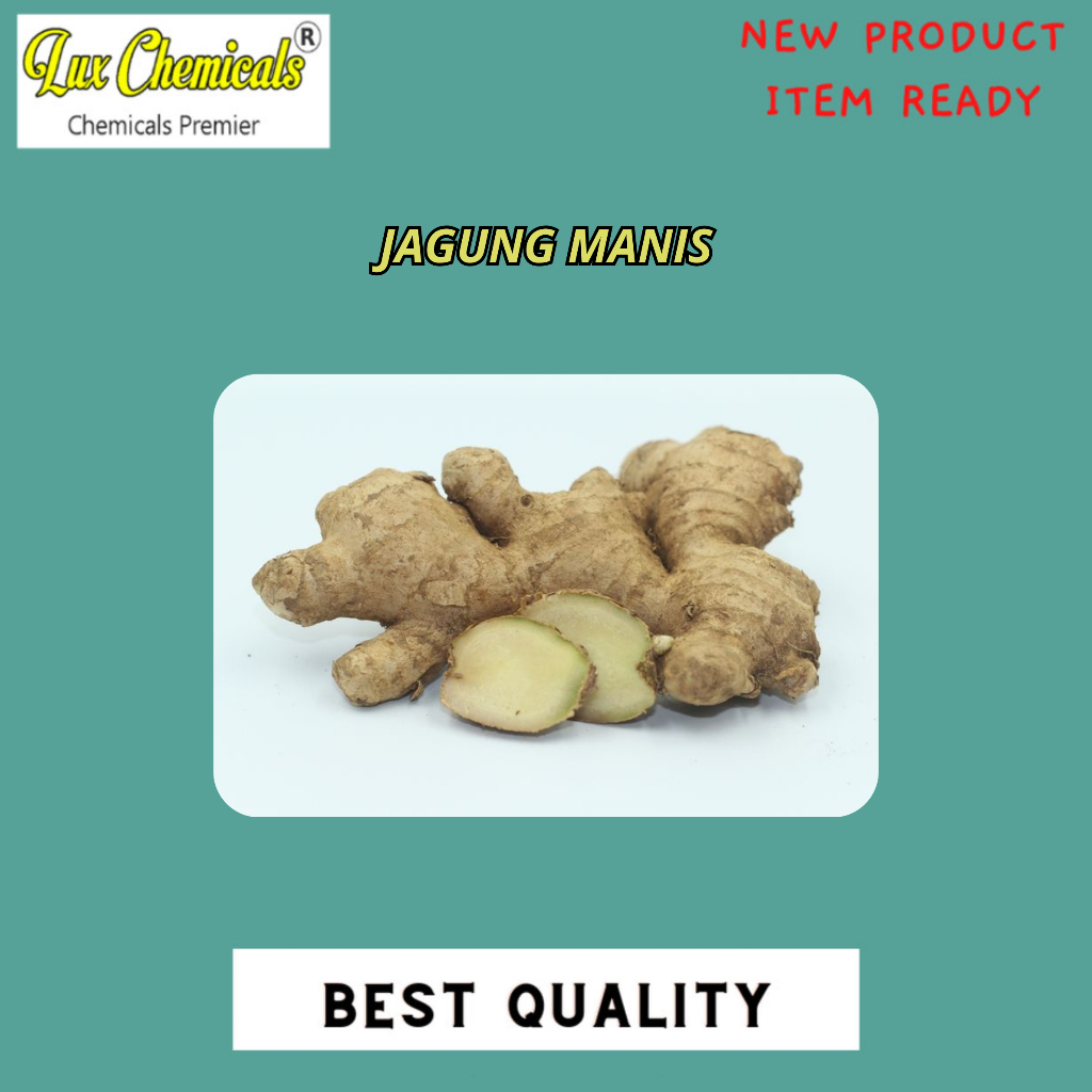 

JAHE GAJAH BEST SELLER 500 GRAM DAN 1000 GRAM