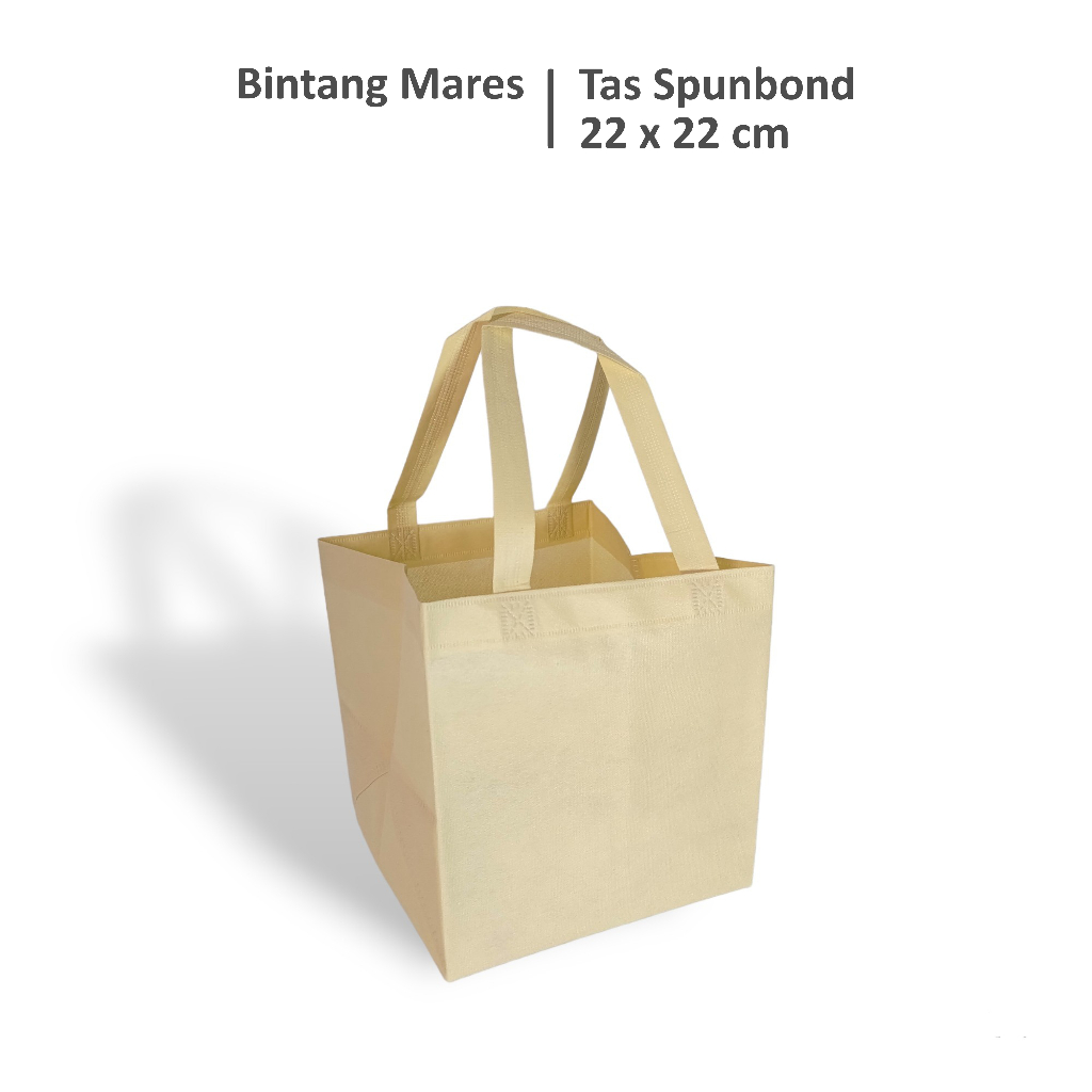 

Tas Hajatan 22x22 / Tas Box Nasi 22 / Tas Spunbond