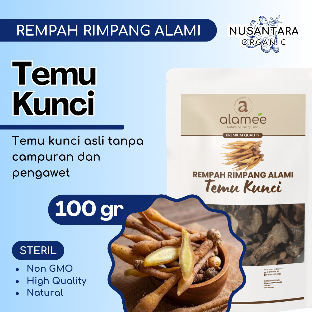 

ALAMEE Temu Kunci Kering 100 gram Fingerroot Iris Rempah Rimpang Organik Bumbu Masakan Alami