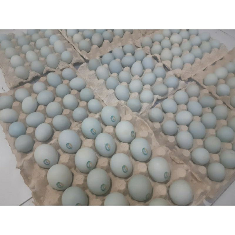 

Telur asin isi 10 pcs