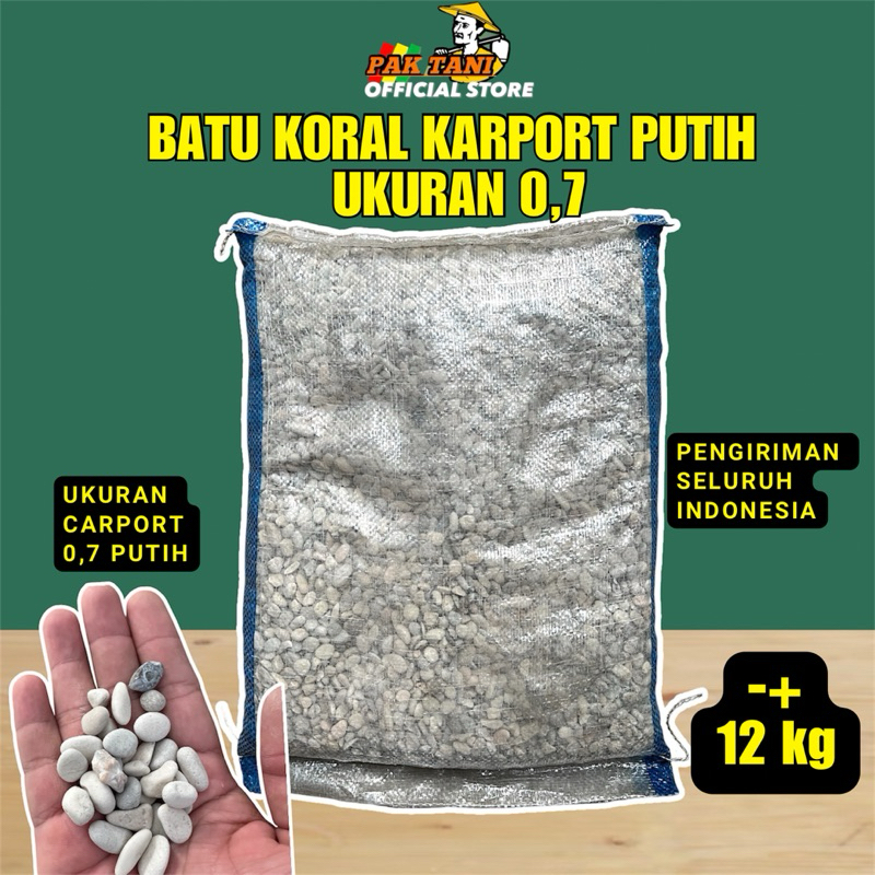 BATU KORAL PUTIH UKURAN CARPORT SIKAT BATU KUPANG UKURAN 0,7 BERAT -+ 11 KG