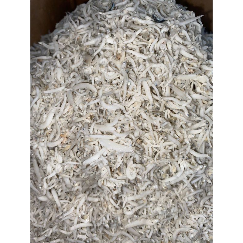 

teri nasi putih ikan asin TN per 100gr murah