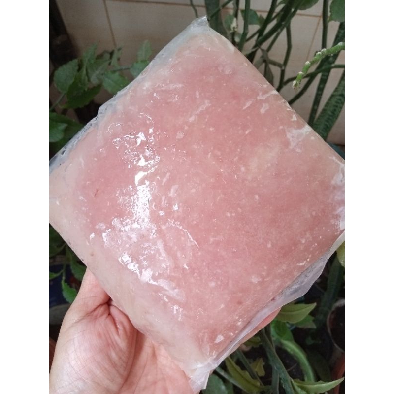 

Tenggiri Fillet Frozen Super Tungkal