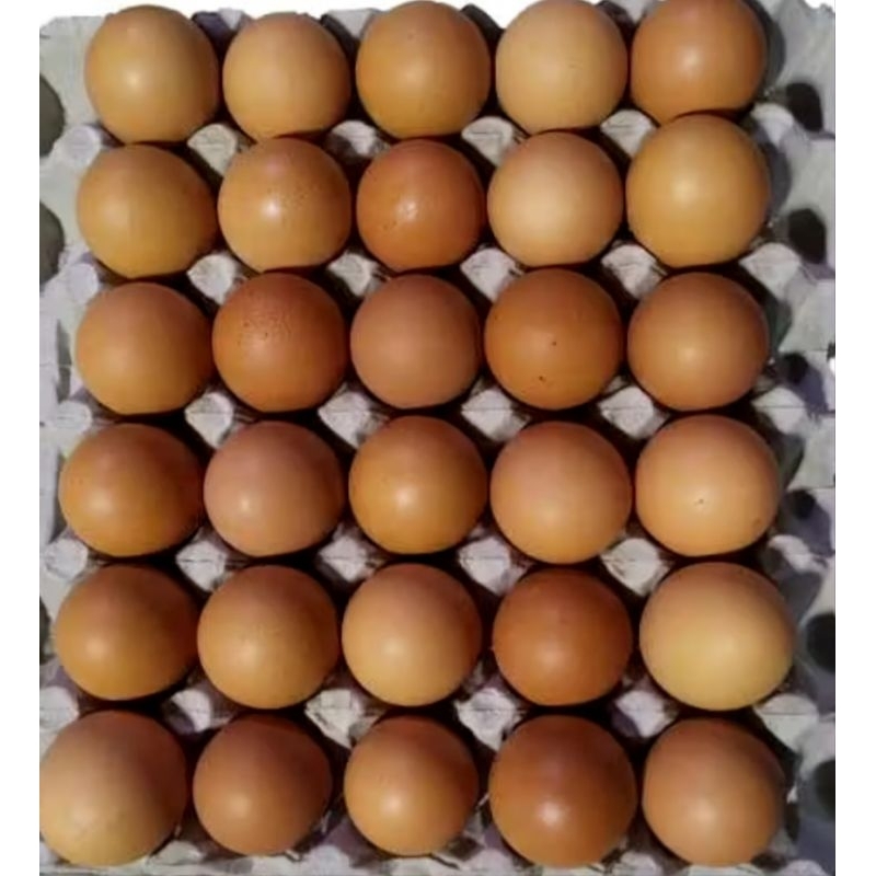 

telur ayam negri