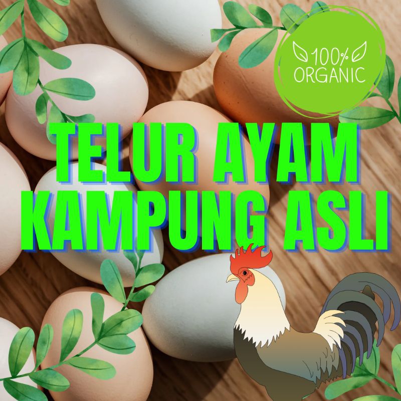 

Telur ayam kampung asli telur jamu telur konsumsi telur omega tiga omega 3 telur ayam jawa endok jowo endog pitek jowo telur organik telur alami telur ayam desa