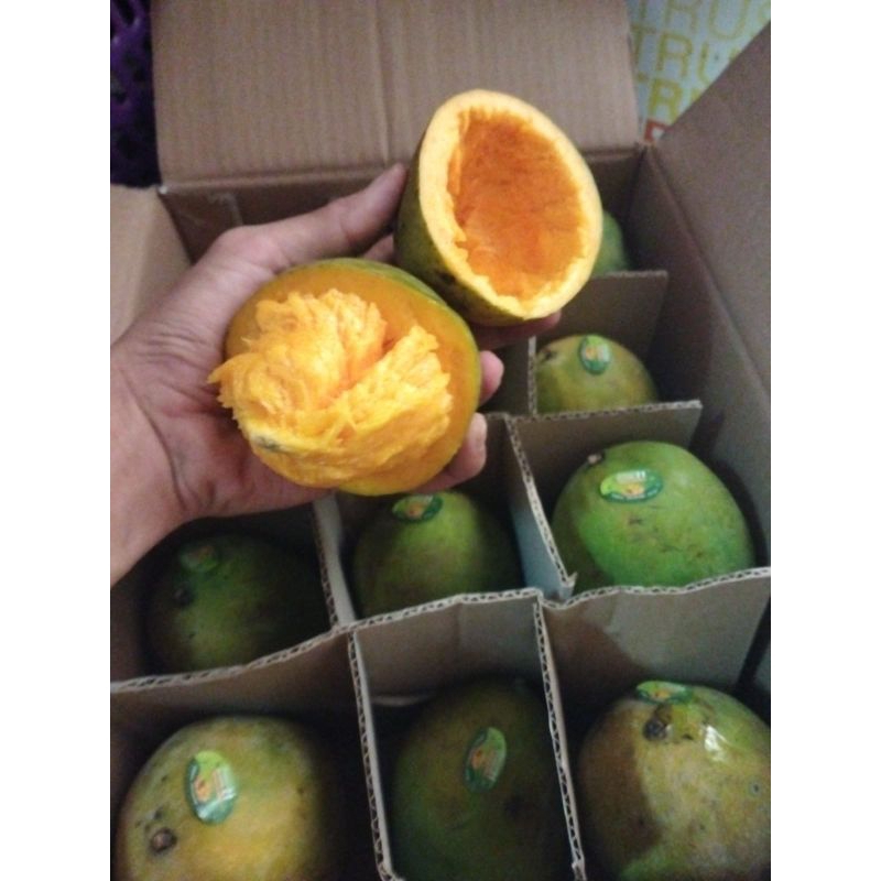 

Mangga Alpukat Konvensional 1 kg fruits12