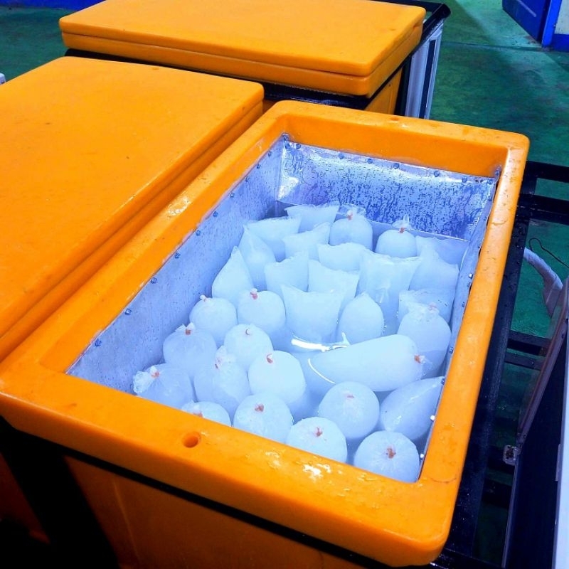 MESIN ES CETAK BATU ES CEPAT TIPE ECO