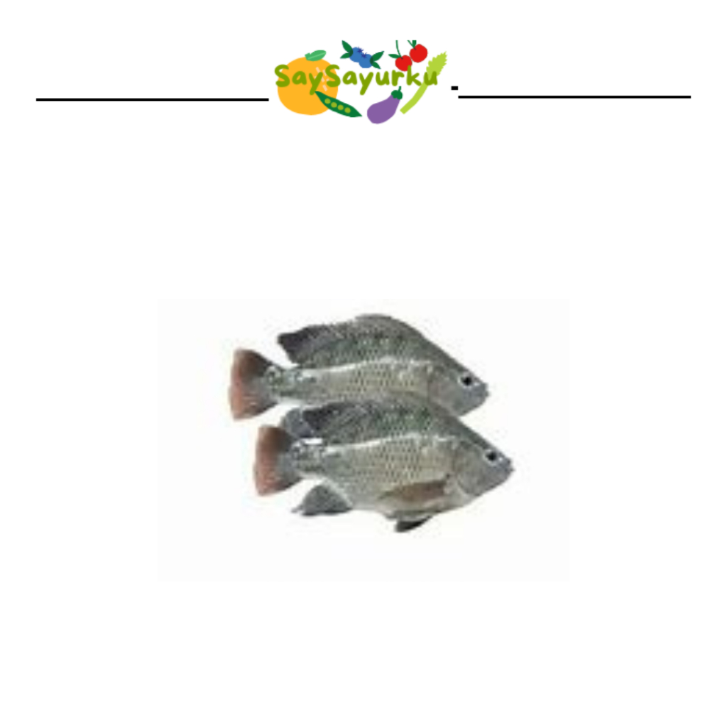 

IKAN MUJAIR FRESH 500 GR