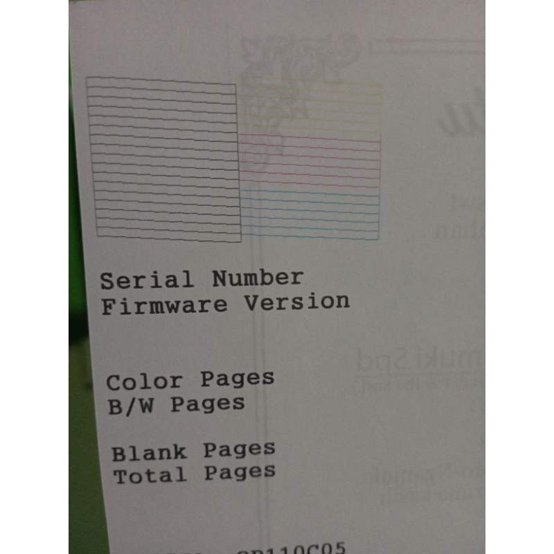 

print head copotan epson l3110 normal