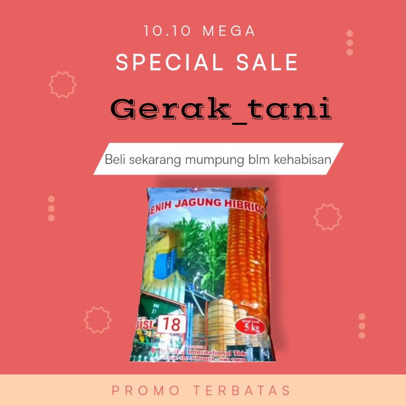 benih jagung bisi 18 kemasan 5kg