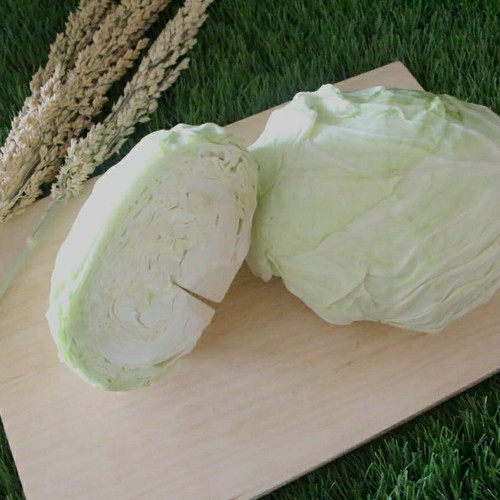 

Kol Putih 1 kg