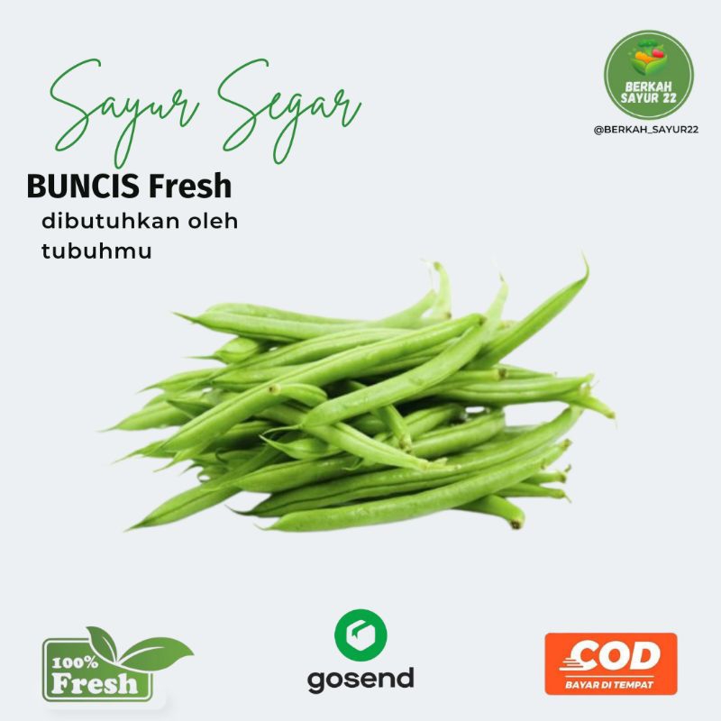 

BERKAH_SAYUR22 Buncis