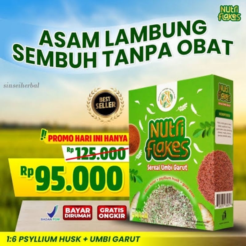 

New Nutriflakes Original Sereal Umbi Garut Solusi Mengatasi Asam Lambung Gerd Maag Suplemen Makanan