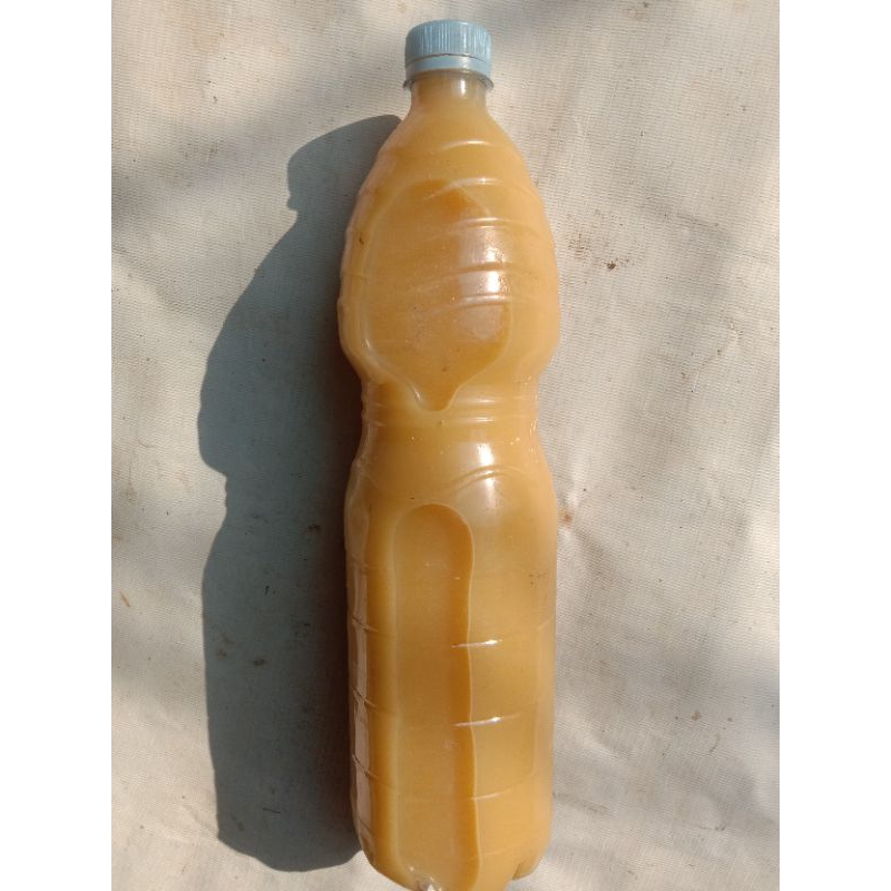 

Susu Jagung Alami Banyak Khasiat