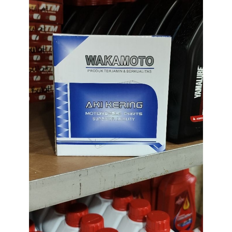 aki wakamoto GM5Z3B kering