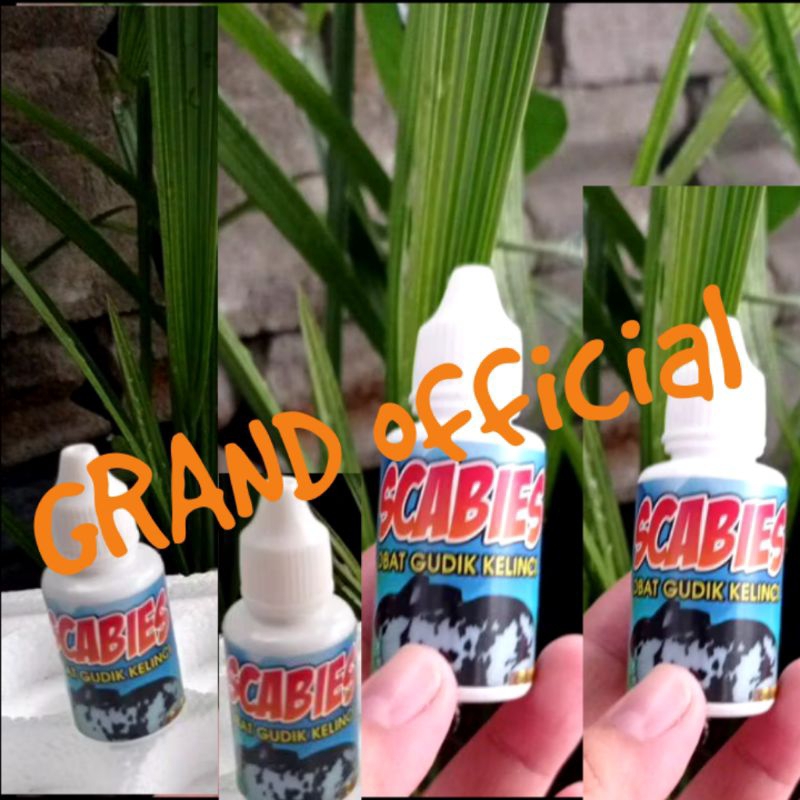 Obat AMPUH GUDIK Oles KELINCI,KUCING,KAMBING,Marmut.hamster obati GUDIK