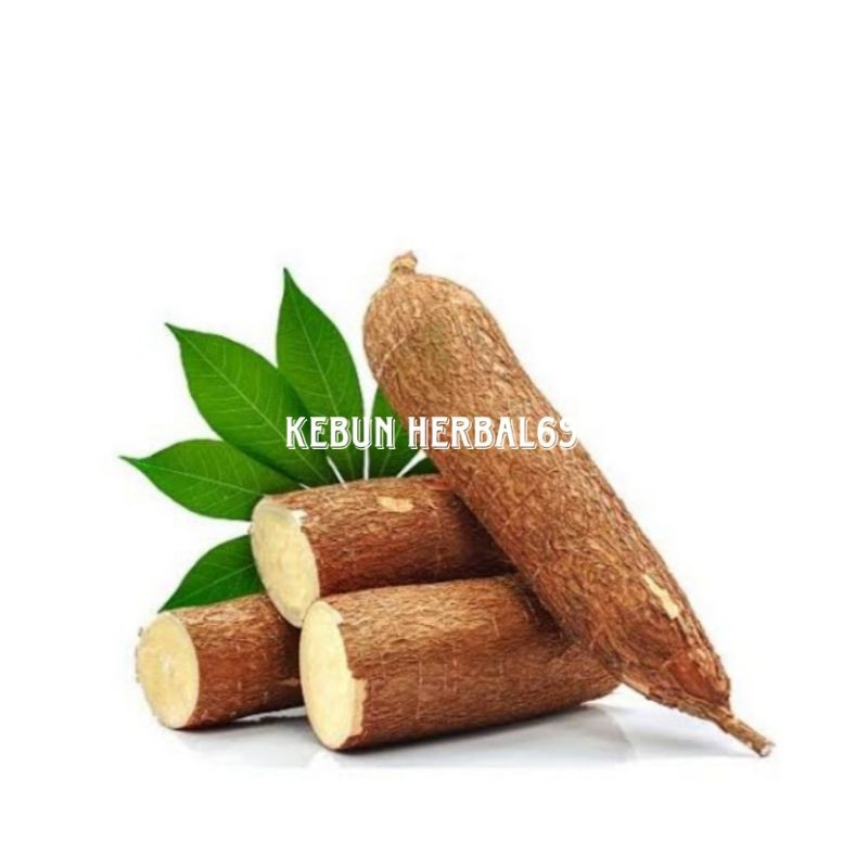 

Promo 1kg singkong ketela enak murah