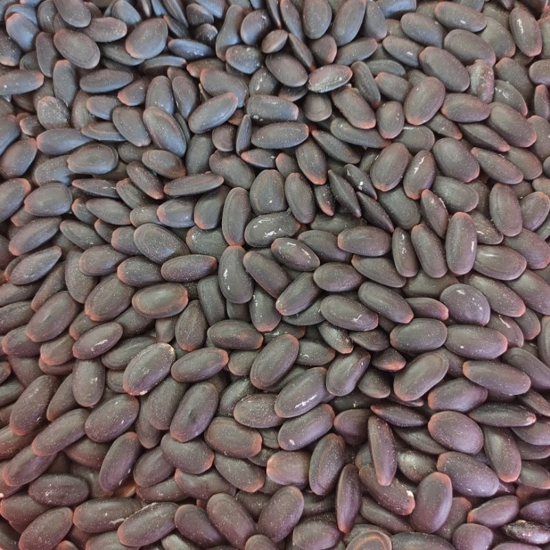 

biji kedawung kering murni 1kg