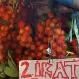 

Rambutan Aceh Lebak (2 iket)