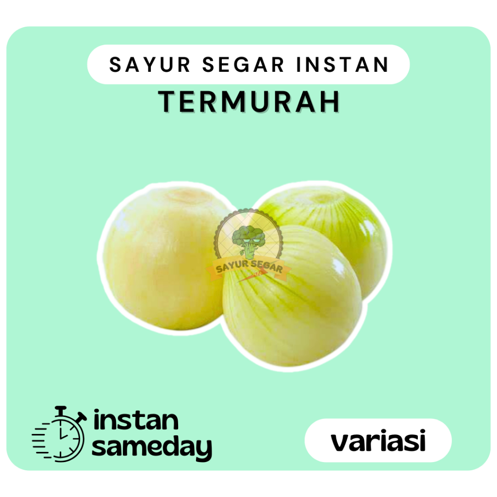

Bawang Bombay Kupas Segar - Sayursegarinstan