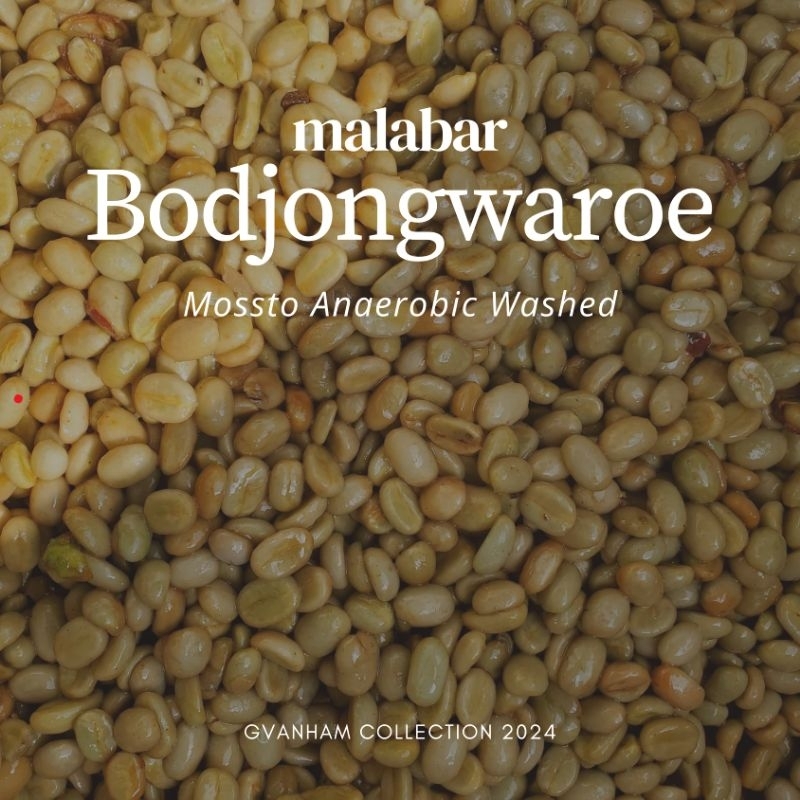 

Greenbeans Arabika Washed Anaerobic Mossto Bodjongwaroe