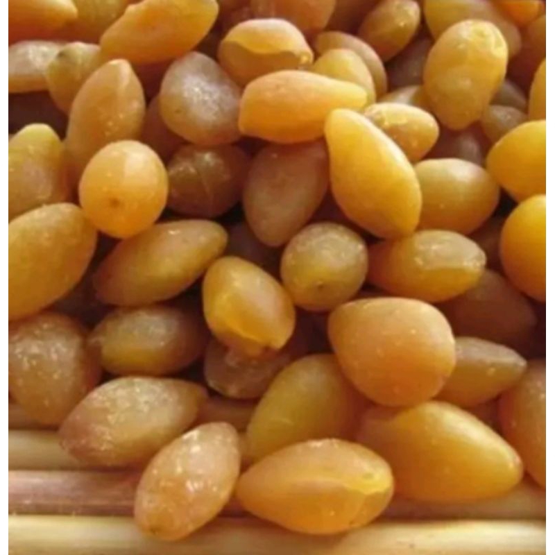 

Bai Gou Bersih / Pek Ko / Gingko 100gram