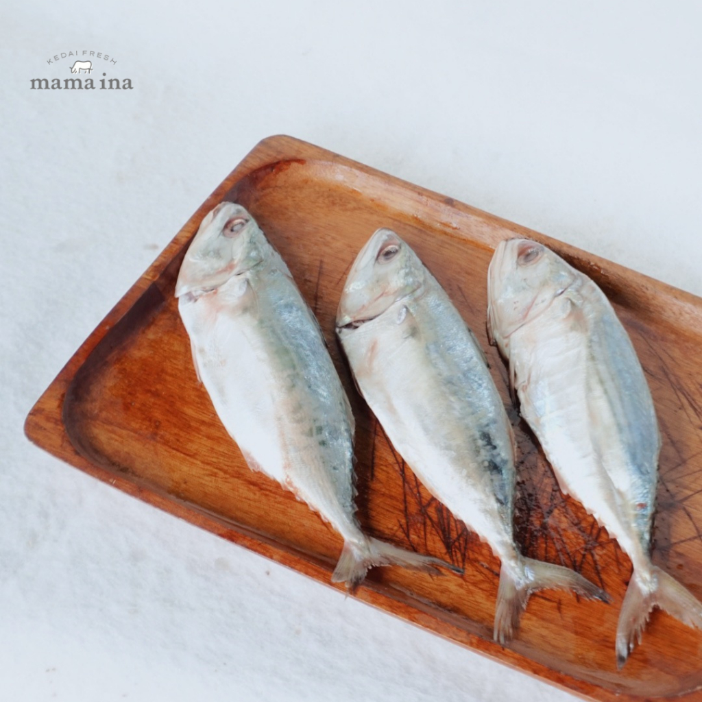 

Ikan Kembung Banjar 500g