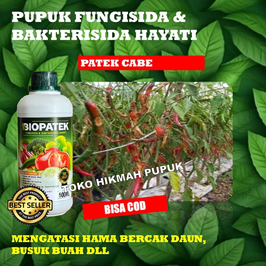 BIOPATEK Fungisida Hayati Obat Patek Cabe dan Obat Hama Tanaman Cabe TERLARIS