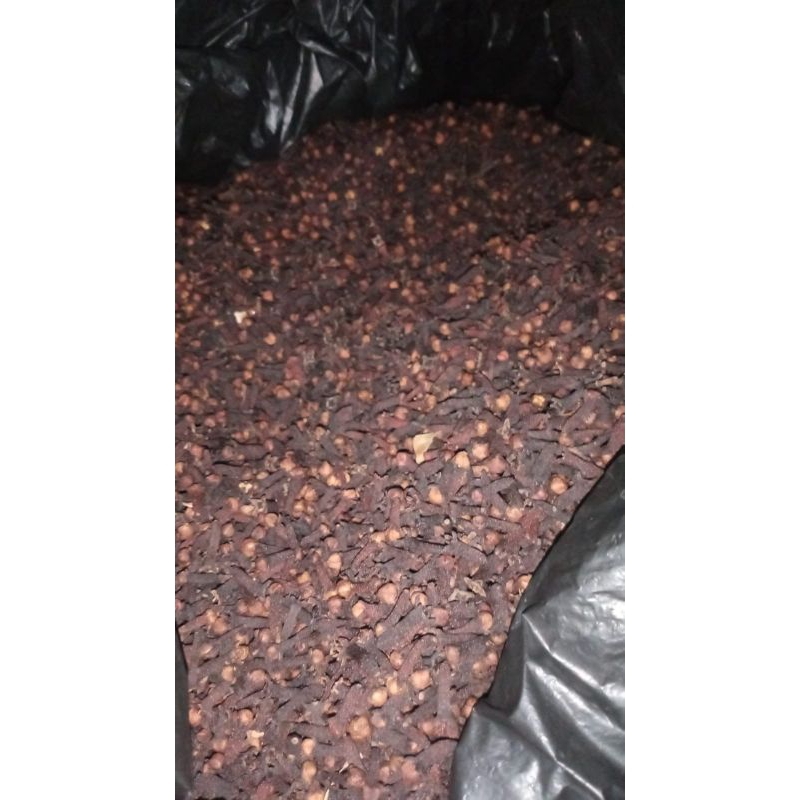 

Cengkeh Asli, 20gr, beli 1000gr lebih murah