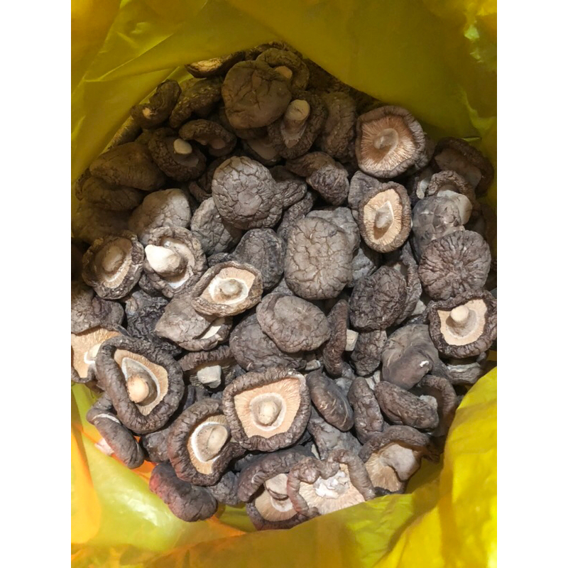 

jamur shitake kering hio ko jamur hio ko 100g kualitas super