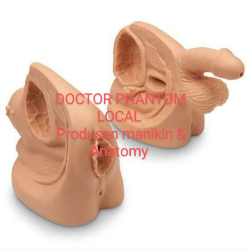 Manekin Pemasangan Kateter Pria - Alat Peraga Pendididikan - Media Praktek Simulator Kateter Urin