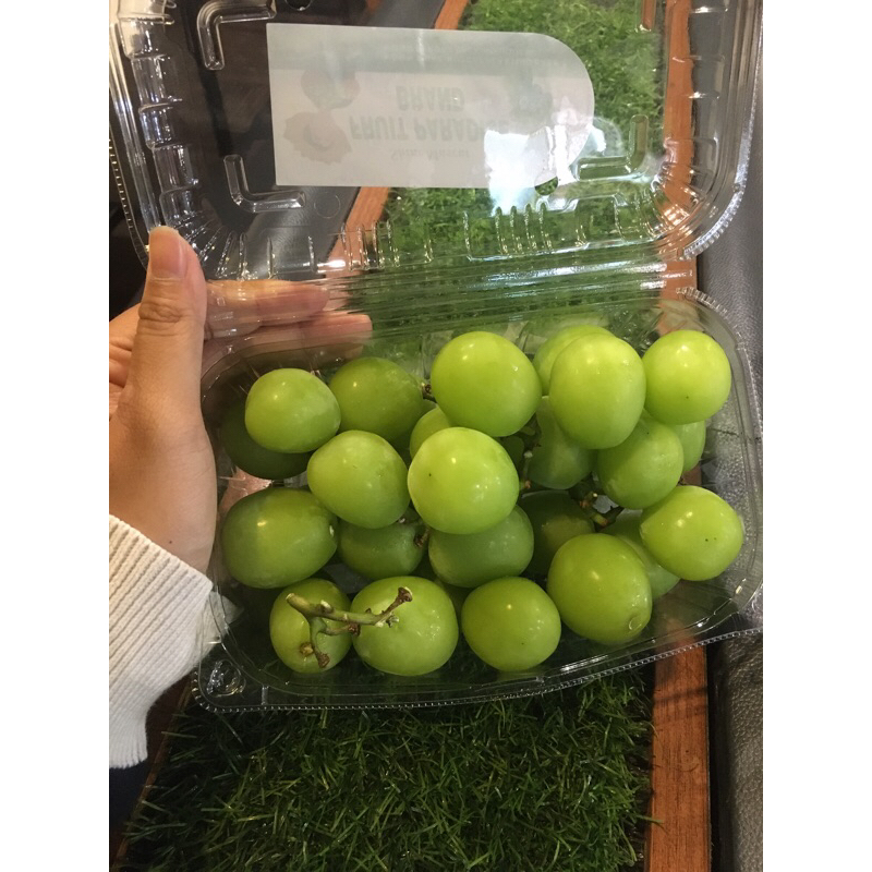 

Anggur Shine Muscat Paradise