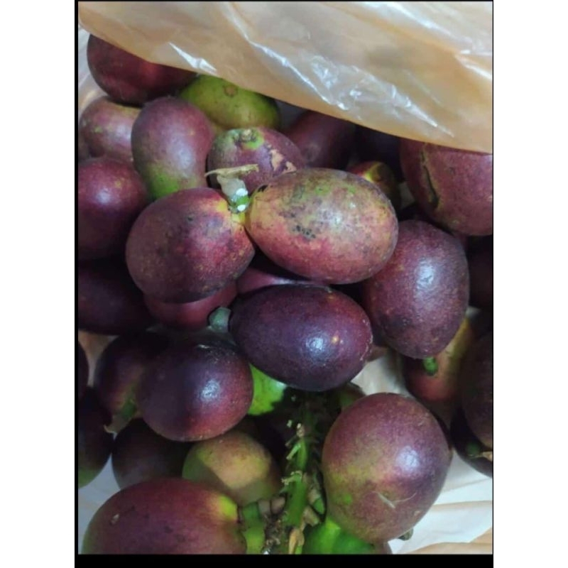 

BEST SELLER | LIMIT STOK Buah matoa segar baru petik tebal 1/2 1 kg