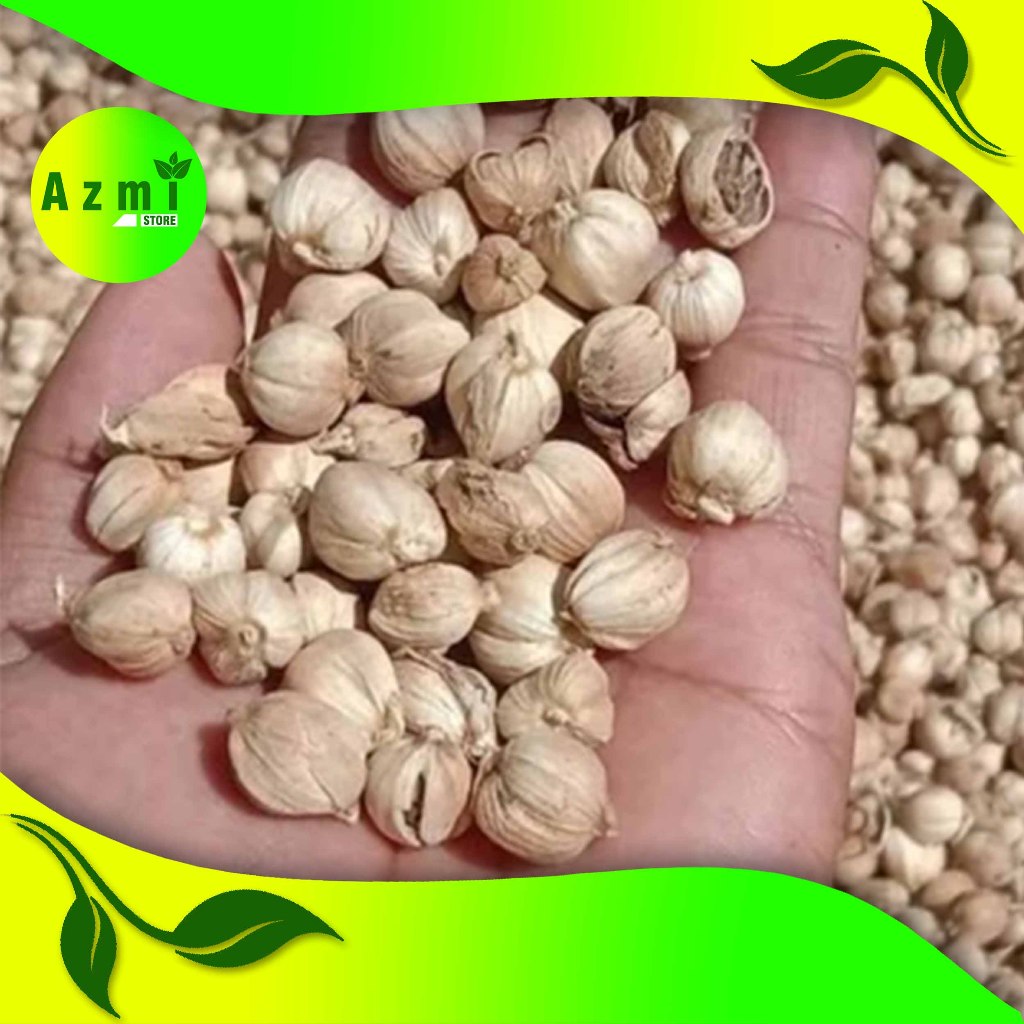 

Kapulaga Kering 100gr - Kapol Kering