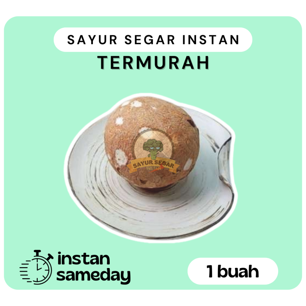 

Kelapa Kupas Bulat 1Buah - Sayur Segar Instan