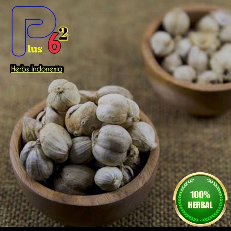 

Bumbu masak kapulaga kering asli grade A paket hemat 100 gr